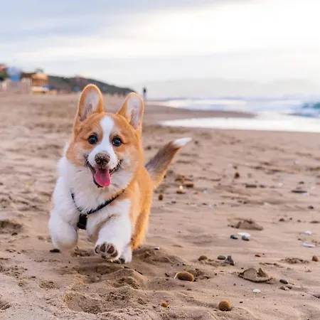 Tiny Historic Quarter By Promenade Pier Portimão